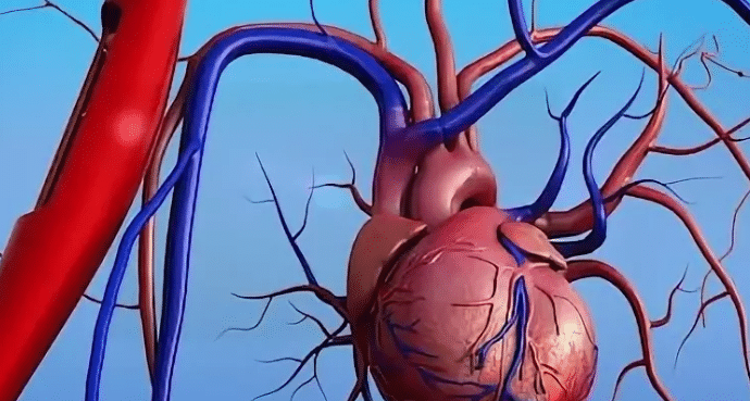 как защитить сосуды сердца
